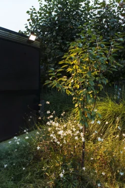 Eco-Light LED Wandleuchte Outdoor Aluminium 3000 K IP54 beweglich