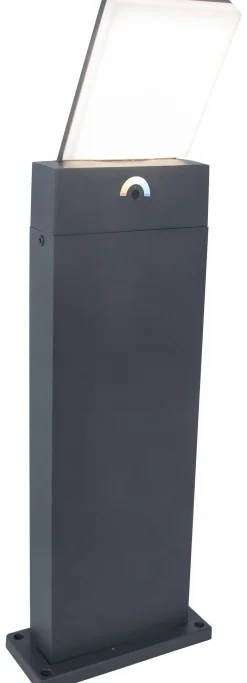 Hot Eco-Light LED Wegeleuchte Bewegungssensor IP54 63,5 cm Anthrazit