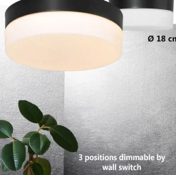 Discount Steinhauer Runde LED Deckenlampe Glas Metall IP44 Ø18 cm 12 W