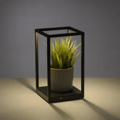 Paul Neuhaus Schwarze LED Tischlampe dimmbar Touch 26 cm 4 W Memory* Wohnzimmerlampen|Schlafzimmer Lampen