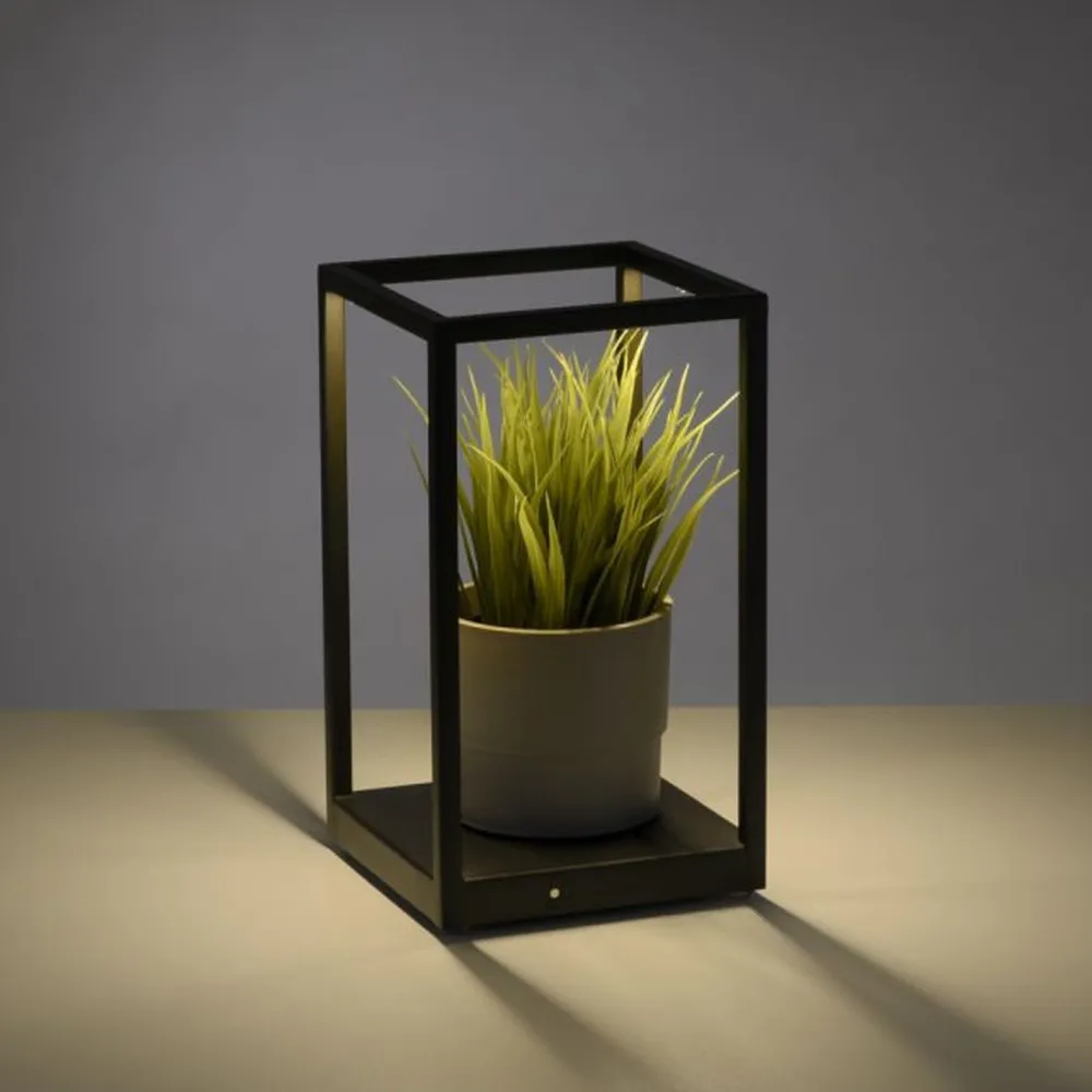 Paul Neuhaus Schwarze LED Tischlampe dimmbar Touch 26 cm 4 W Memory* Wohnzimmerlampen|Schlafzimmer Lampen