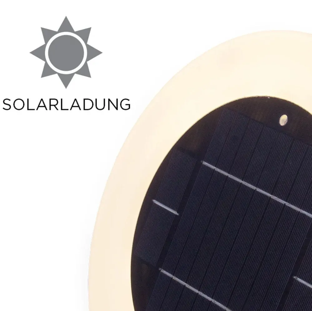 Discount Newgarden Solar Poolleuchte LED Farbwechsel Dimmer IP68 Ø 29 cm kabellos