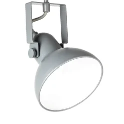 Easylight Spot Lampe Anthrazit Metall rund Retro praktisch* Wandleuchten|Flurlampen