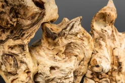 Outlet Invicta Interior Treibholz Tischlampe PECIOS Modern Design Unikat