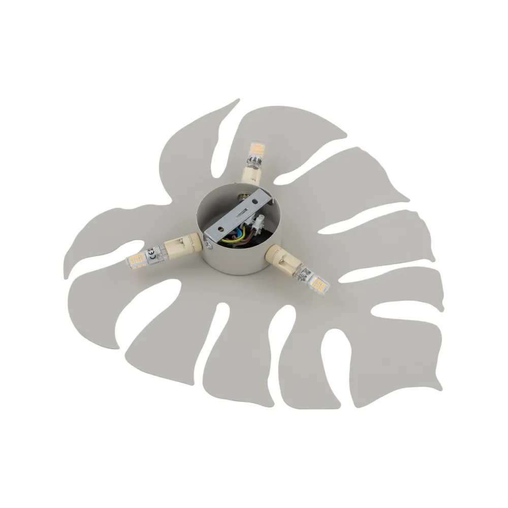TK Lighting Wandlampe Metall Beige H: 40c m Monstera Blatt 3x G9* Wandleuchten|Flurlampen