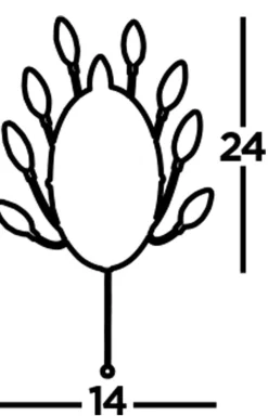 Sale Searchlight Wandleuchte mit Schalter Kristall H: 24 cm Chrom Klar 2x G9